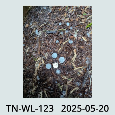 Hail Obs Photo