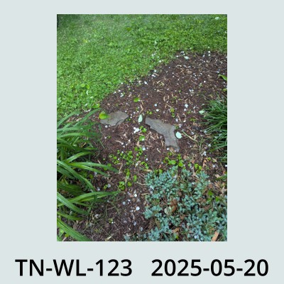 Hail Obs Photo