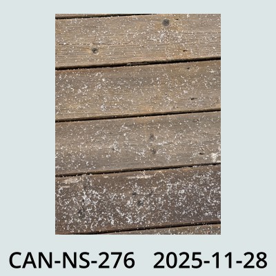 Hail Obs Photo