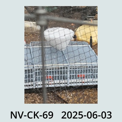 Hail Obs Photo