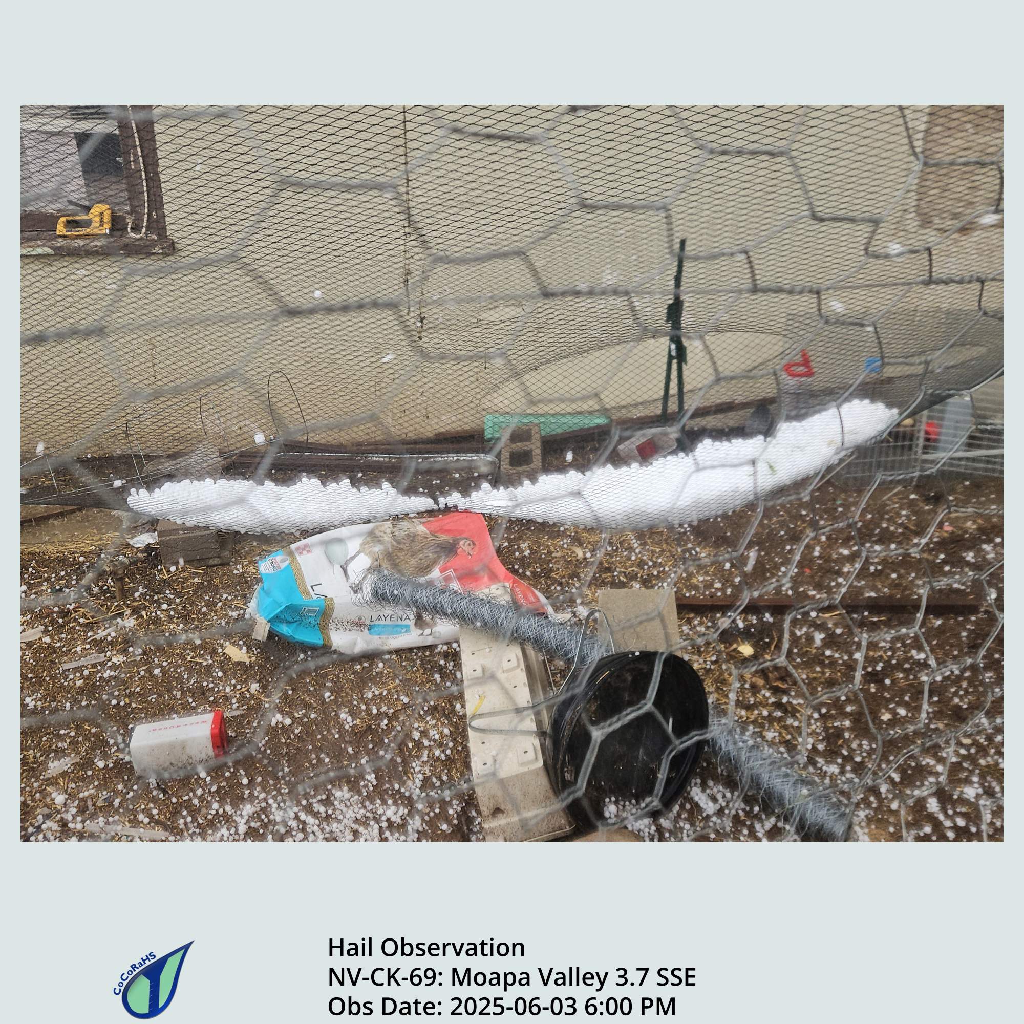 Full size version of the thumbnail.