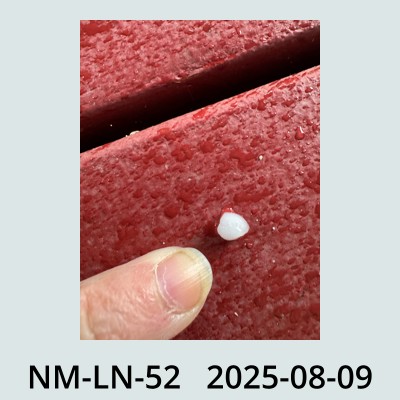 Hail Obs Photo