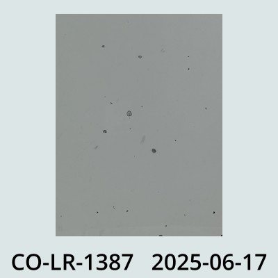 Hail Obs Photo