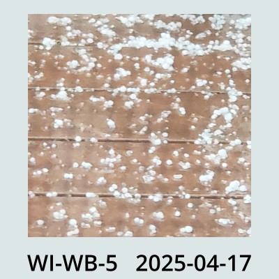 Hail Obs Photo