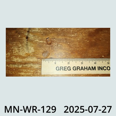 Hail Obs Photo