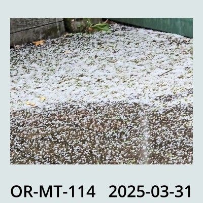 Hail Obs Photo