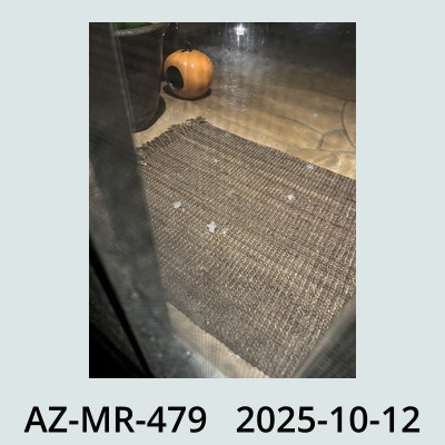 Hail Obs Photo