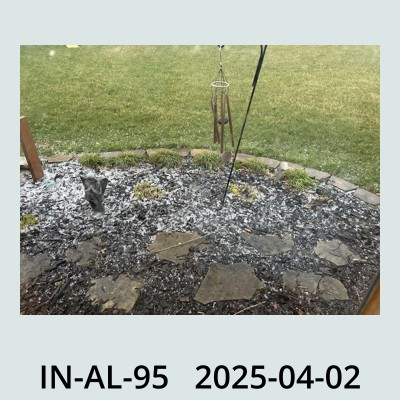 Hail Obs Photo