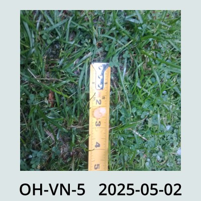 Hail Obs Photo