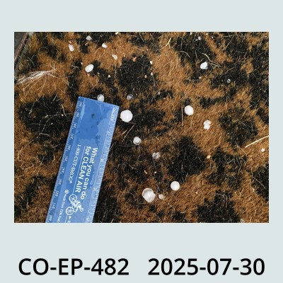 Hail Obs Photo
