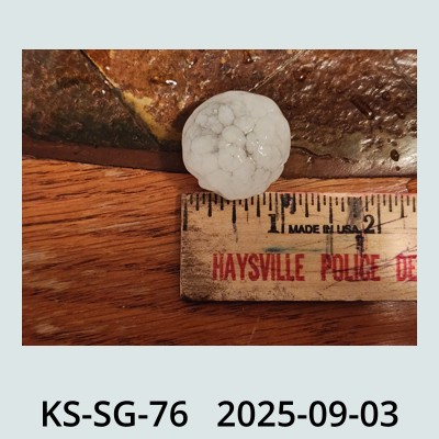 Hail Obs Photo
