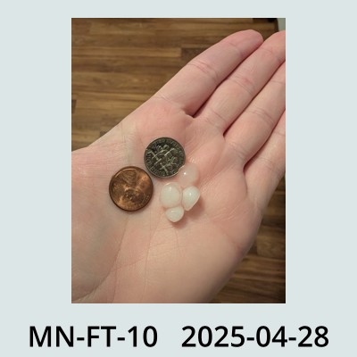 Hail Obs Photo