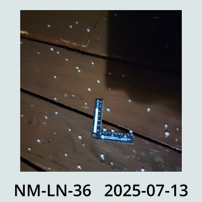 Hail Obs Photo