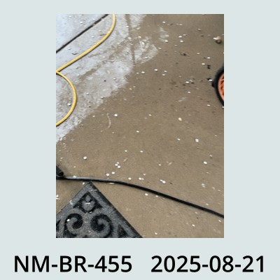 Hail Obs Photo