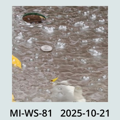 Hail Obs Photo