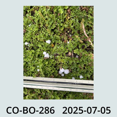 Hail Obs Photo