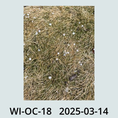 Hail Obs Photo
