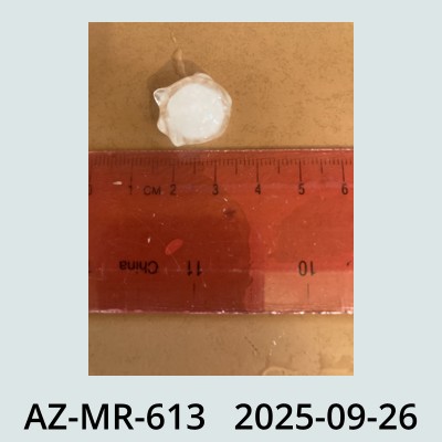 Hail Obs Photo