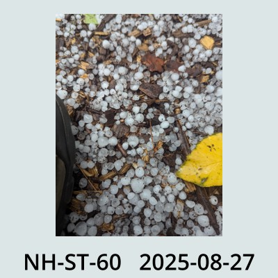Hail Obs Photo