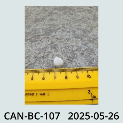 Hail Obs Photo