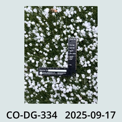 Hail Obs Photo