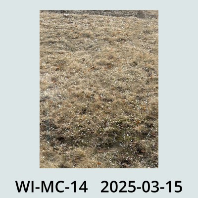 Hail Obs Photo