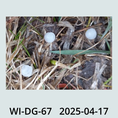 Hail Obs Photo