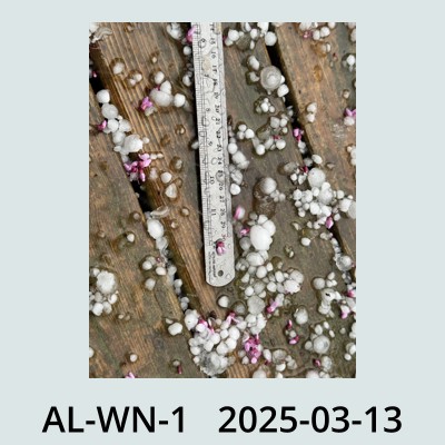 Hail Obs Photo