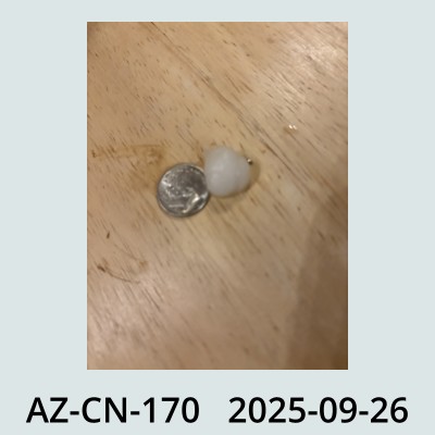 Hail Obs Photo