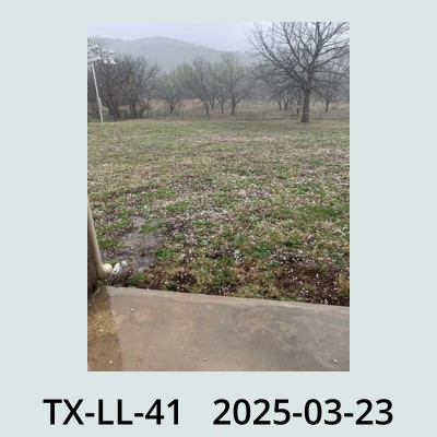 Hail Obs Photo