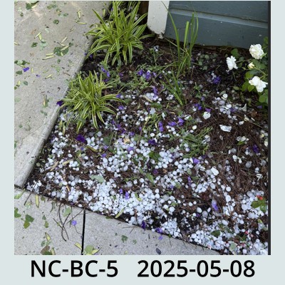 Hail Obs Photo
