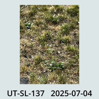 Hail Obs Photo