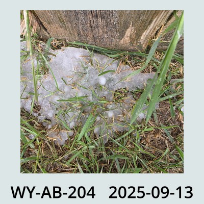 Hail Obs Photo