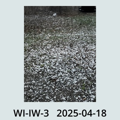 Hail Obs Photo
