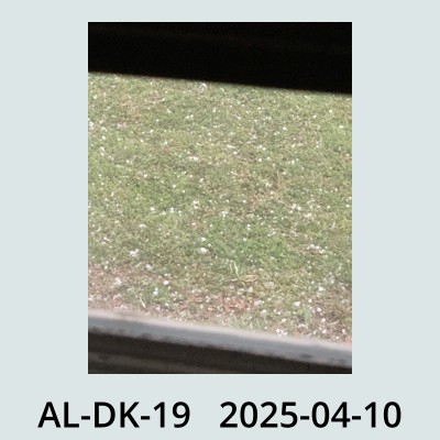 Hail Obs Photo