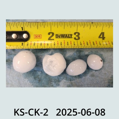 Hail Obs Photo