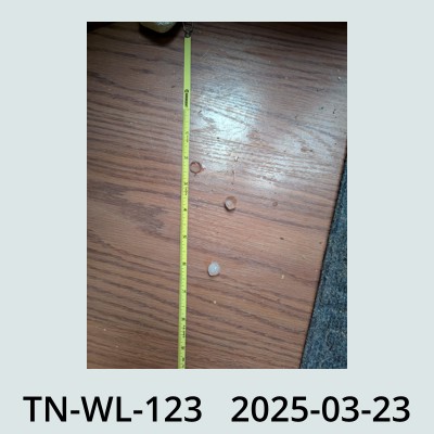 Hail Obs Photo