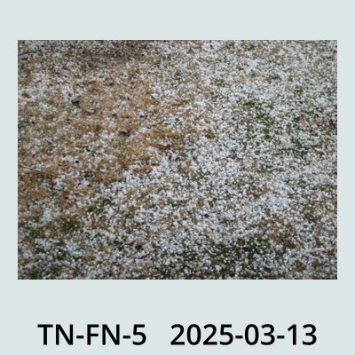 Hail Obs Photo
