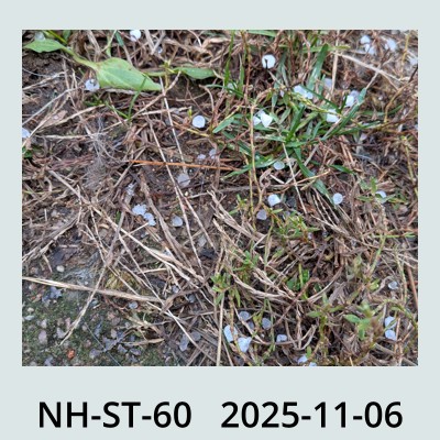 Hail Obs Photo