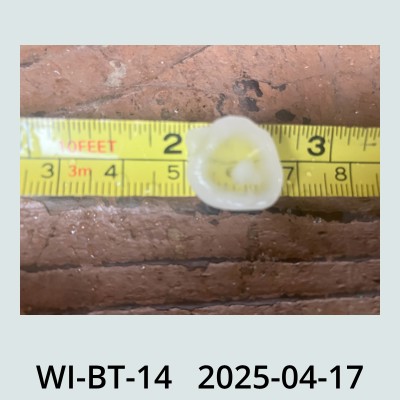 Hail Obs Photo