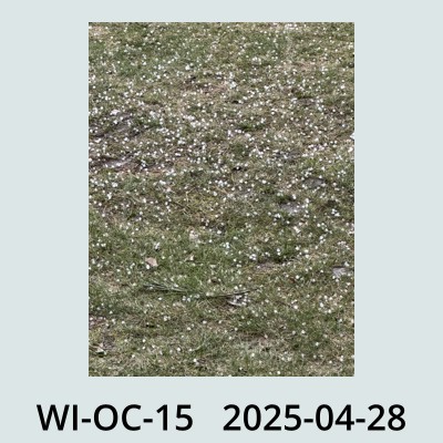 Hail Obs Photo