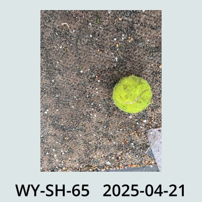 Hail Obs Photo