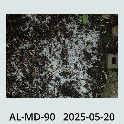 Hail Obs Photo