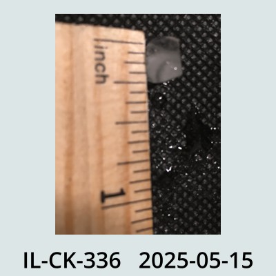 Hail Obs Photo