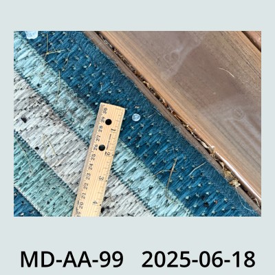 Hail Obs Photo