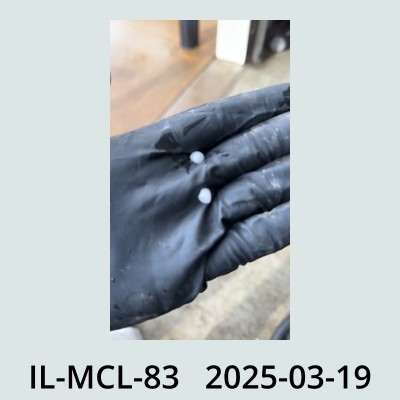 Hail Obs Photo