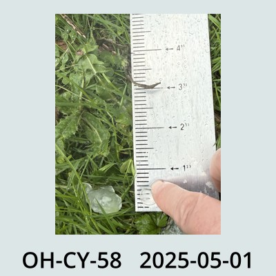 Hail Obs Photo