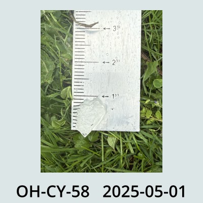 Hail Obs Photo