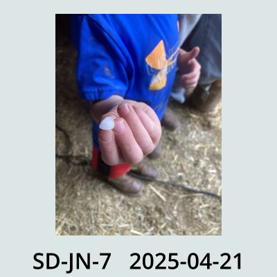 Hail Obs Photo
