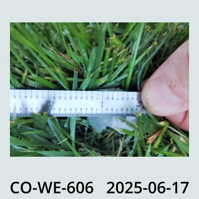 Hail Obs Photo